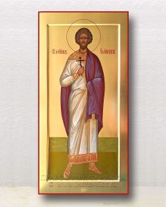 Икона «Емилиан мученик» Каменск-Шахтинский